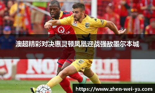 lehu乐虎官方网站